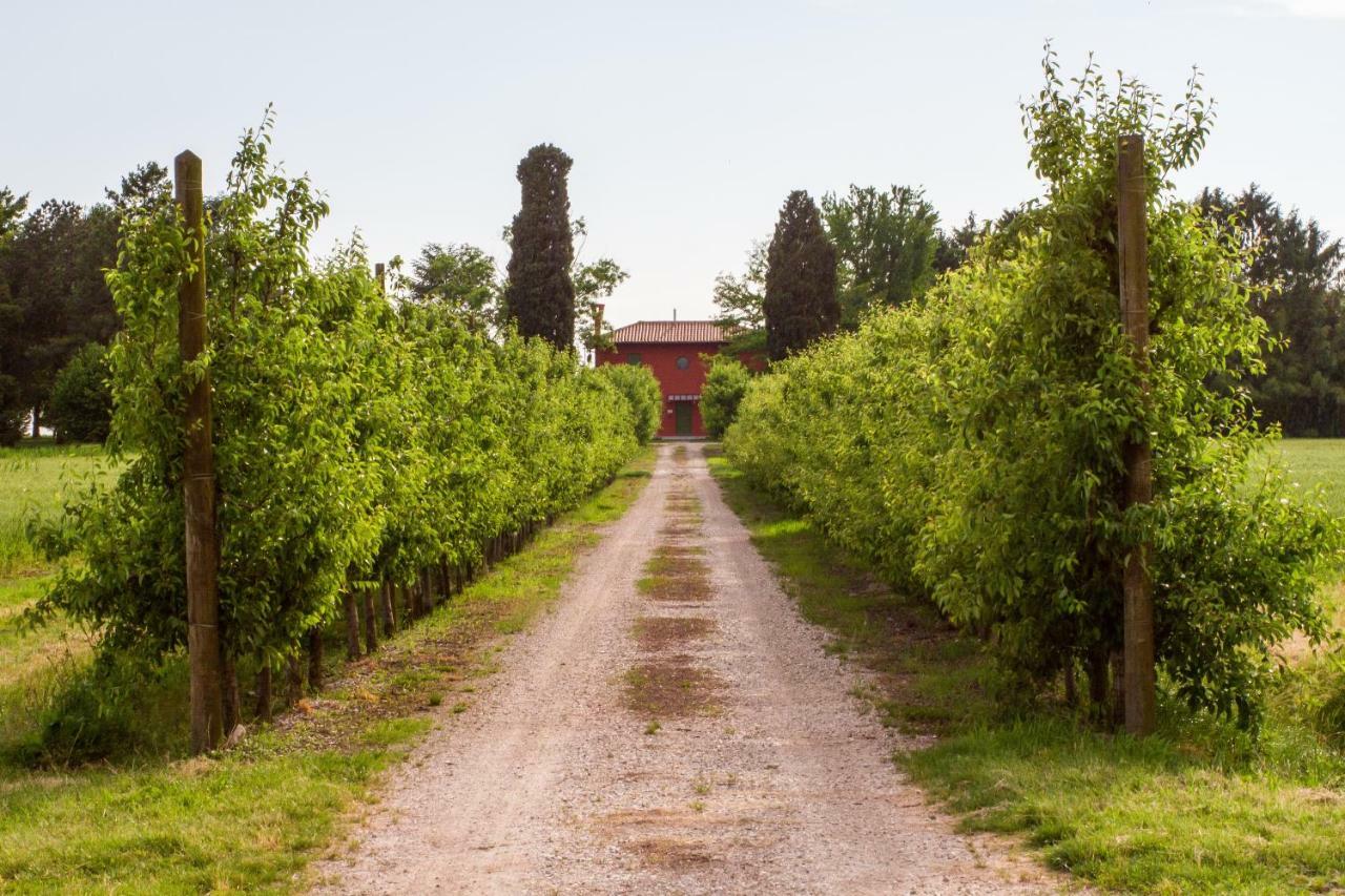 La Centuria Società Agricola Casa Vacanze Terzo d' Aquileia Esterno foto